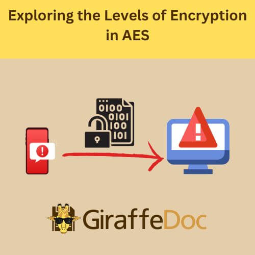 Exploring the levels of Encryption in AES