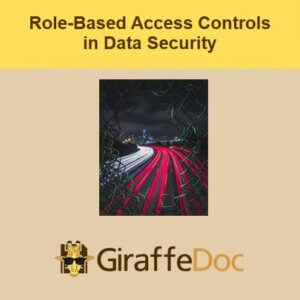 Role-Based Access Controls in Data Security